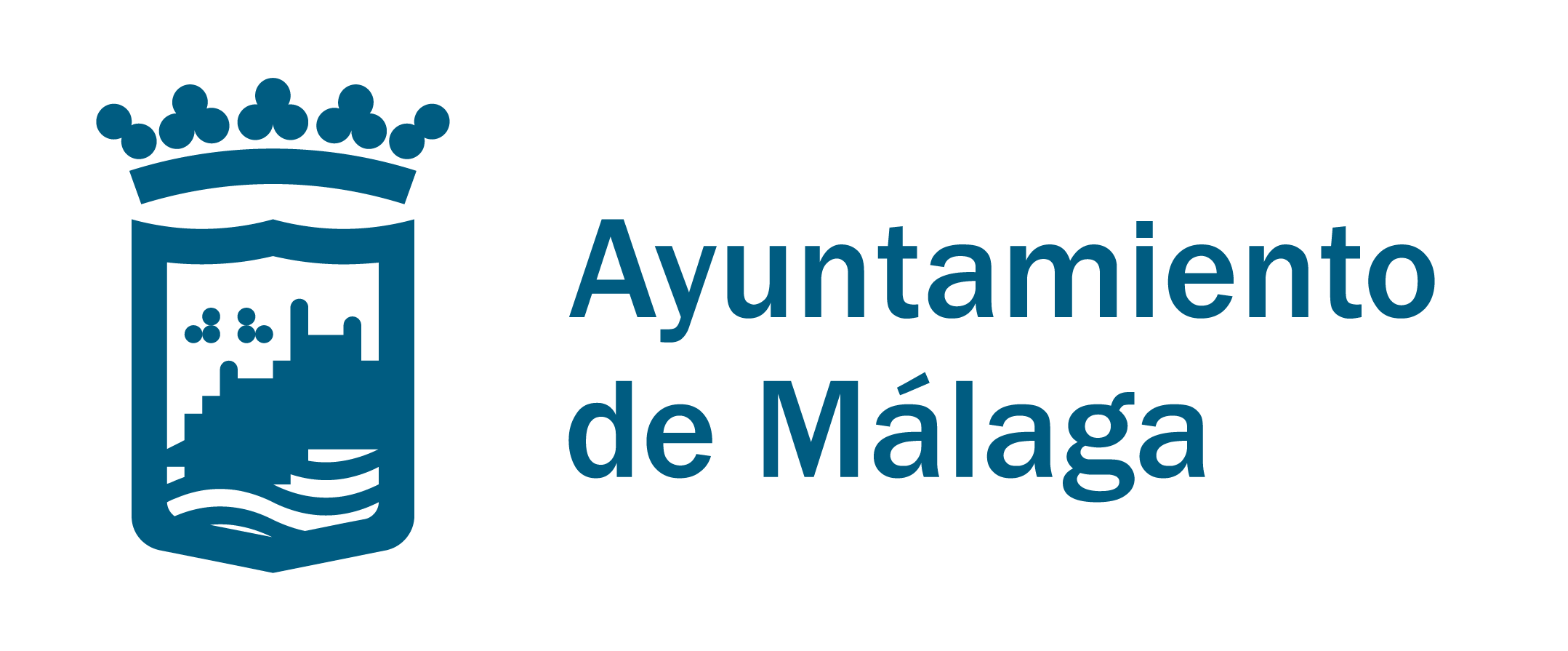 Málaga City Council 